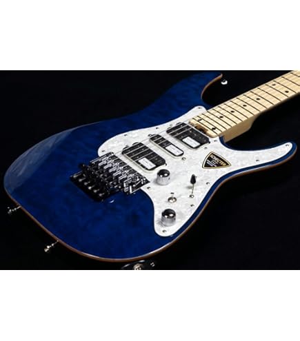 Amazon | SCHECTER シェクター エレキギター 8弦 OMEN-8 Walnut Satin
